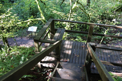 Overlook at the pavilion – interpretive display on the trail below